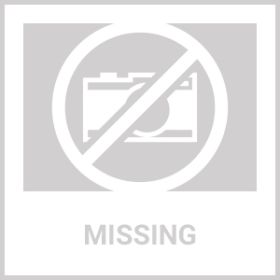 PetSafe Stubborn Dog Fence Collar (REFURBISHED) - PRF-275-19-R