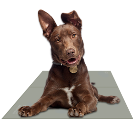 Chillz Gel Mat (Color: Sage Gray, size: large)