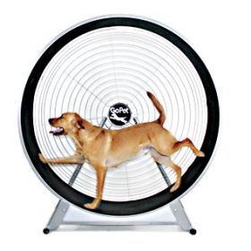 GoPet TreadWheel For Dogs (Option: Large Dogs)